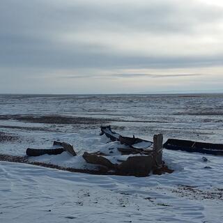 Several drinking troughs sit in the snow.