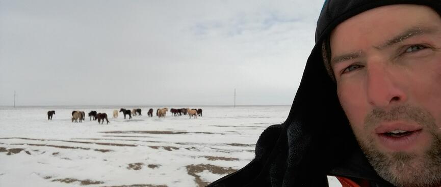 I pose with black, brown and cream horses in the background.