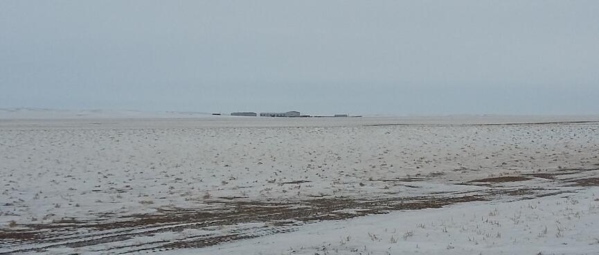 A cluster of low buildings on the horizon.