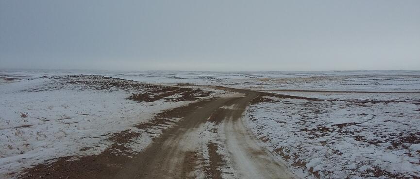 A junction of brown trails cutting through the white fields.