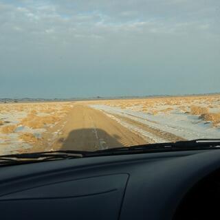 View out the windscreen to a dirt road with snow and low shrubs either side.
