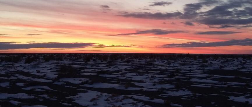 Pink and apricot streaked skies peppered in grey cloud.