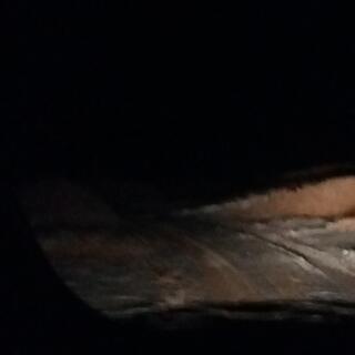 The vanʼs headlights illuminate a pile of dirt.