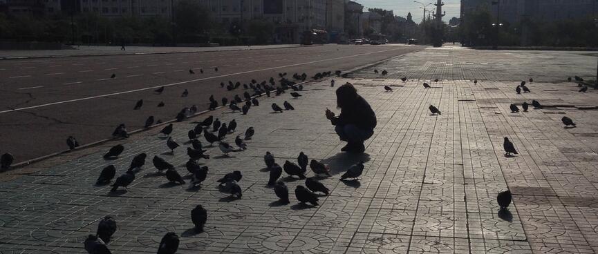 Wanna crouches amid dozens of pigeons, in Chita.