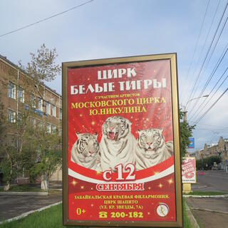 The middle of three white tigers roars from a red poster.