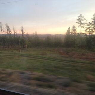 A blur of empty fields and forest, out the train window.