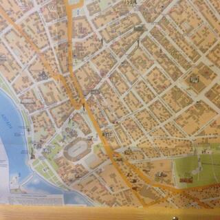 A neighbourhood grid is disrupted by long angled streets.