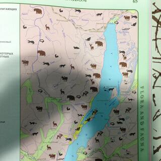 Brown animal icons pepper a map of Lake Irkutsk.