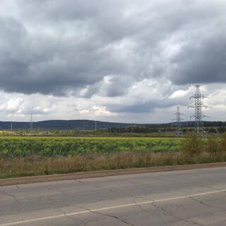 Power pylons in green fields.