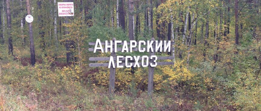 A wooden sign for the Angarsky Les forestry business.