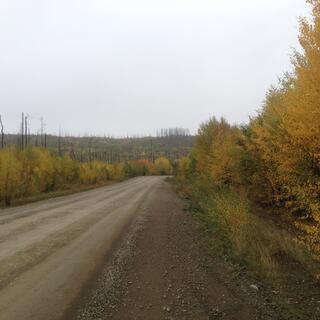 Gold and green foliage lines the road.