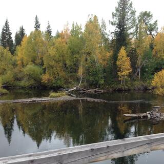 A still lake, surrounded by forest and piles of stones.