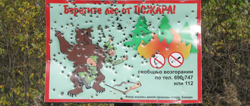 A wild cartoon bear spanks a hunterʼs bottom, as a fire burns in the trees.