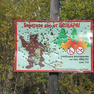 A wild cartoon bear spanks a hunter's bottom, as a fire burns in the trees.