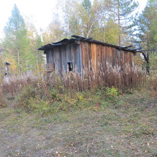 A wooden shed is constructed from planks of different lengths.