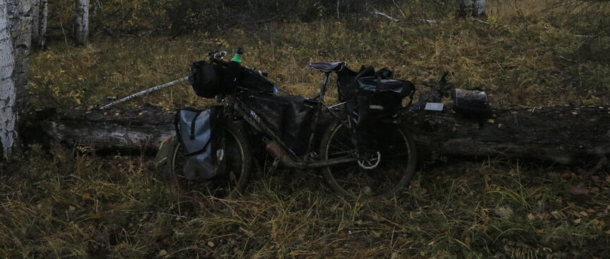 My bike leans against a log in a grassy clearing.