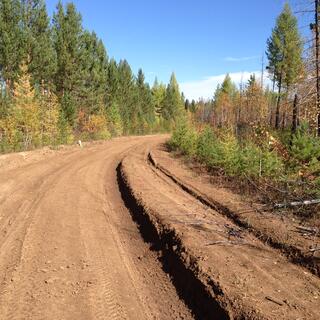 Tyre tracks form deep gouges in the dirt road.