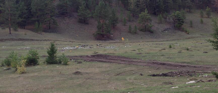 Rubbish lies in a grassy paddock.
