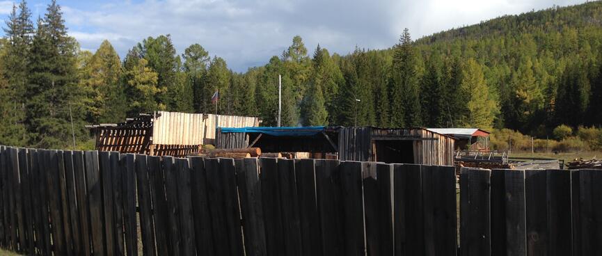 Piles of logs are stacked outside wooden sheds.