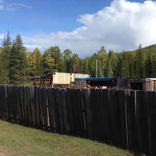Piles of logs are stacked outside wooden sheds.
