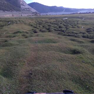 A lumpy green field.