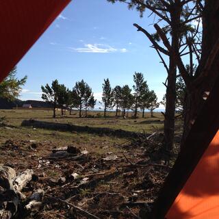 The open tent flap reveals branches and pine needles.