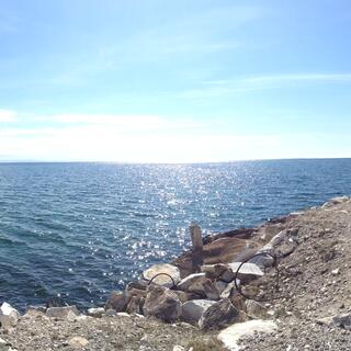 The shoreline of shingle, rocks, wire and breakwaters.