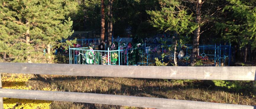 Behind a wooden fence, blue steel pens sit amongst the trees.