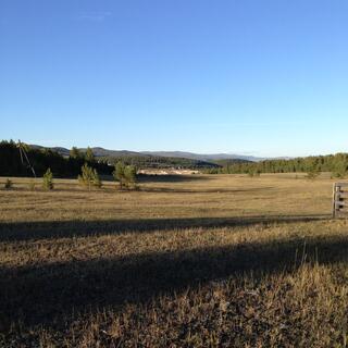 Rolling green fields and a distant village.