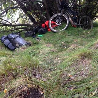 My bike leans against a tree, amid a lumpy grass lawn.