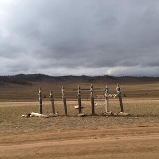 A line of ribboned posts.