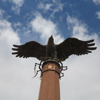 A statue of an eagle on top of a tall narrow base.
