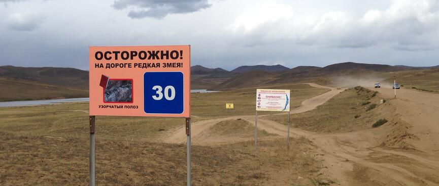 A Russian warning signs bears the image of a snake.