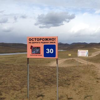A Russian warning signs bears the image of a snake.