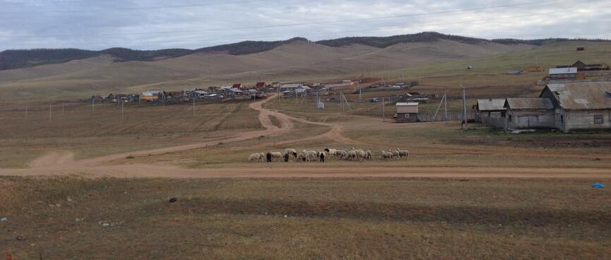 A cluster of 20 or 30 houses.