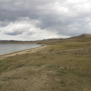 The grassy foreshore and a narrow strip of sand.