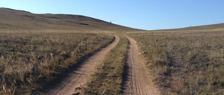 Dirt 4WD tracks cut through a green field.
