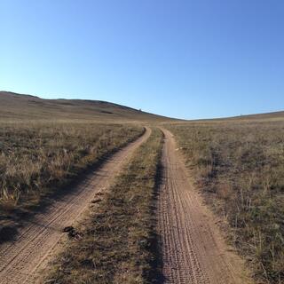 Dirt 4WD tracks cut through a green field.
