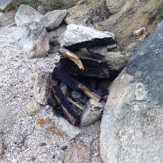 Charred pieces of wood and a metal can.