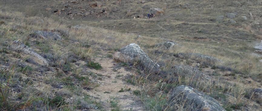 A path of sand and grass is demarcated by several large stones.