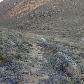 A path of sand and grass is demarcated by several large stones.