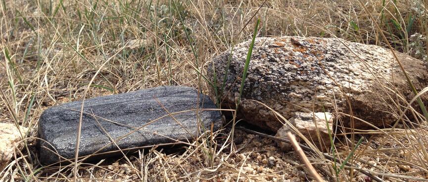 A black rock in the beach grass.