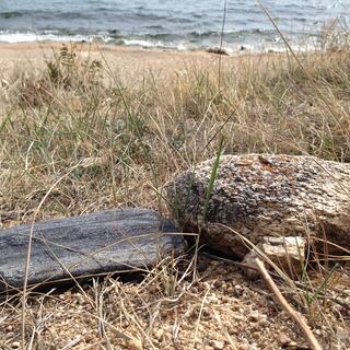A black rock in the beach grass.