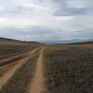 Dirty tyre tracks cut through green fields.