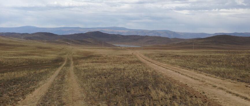 Parallel paths through the grass.