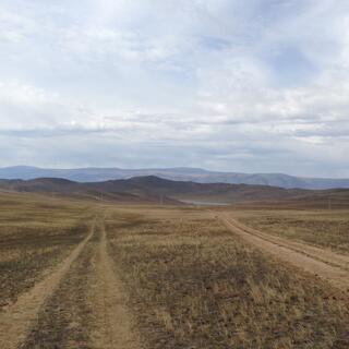 Parallel paths through the grass.