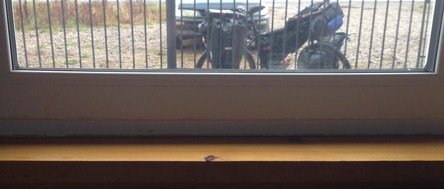 A warm radiator nestles underneath the cafe window.