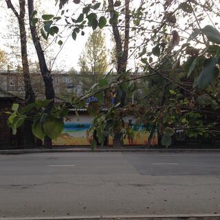 A wall mural depicts swimmers lounging on a golden beach.