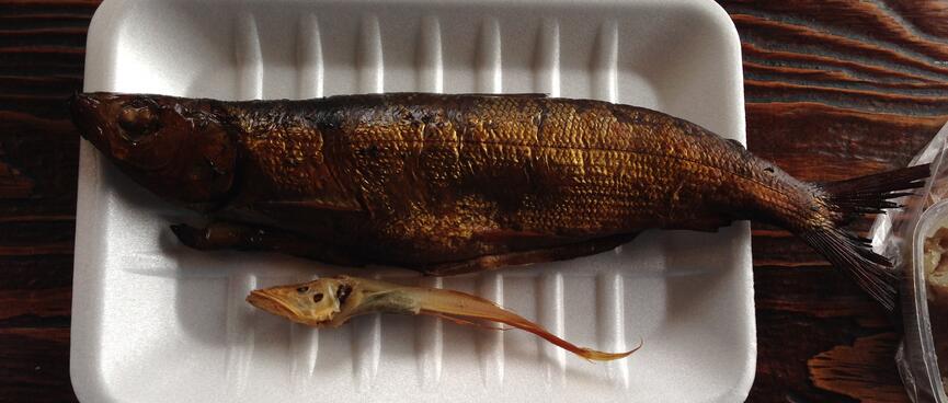 Two dead fish lie on a polystyrene tray.