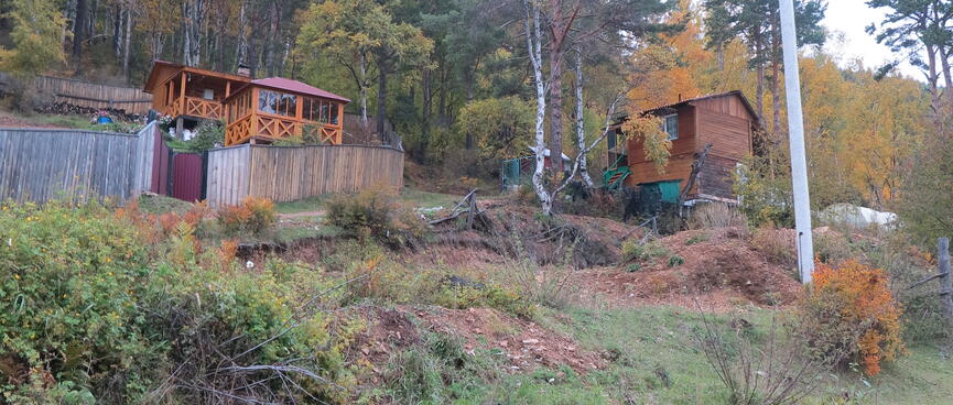 Wooden houses set into the forest.